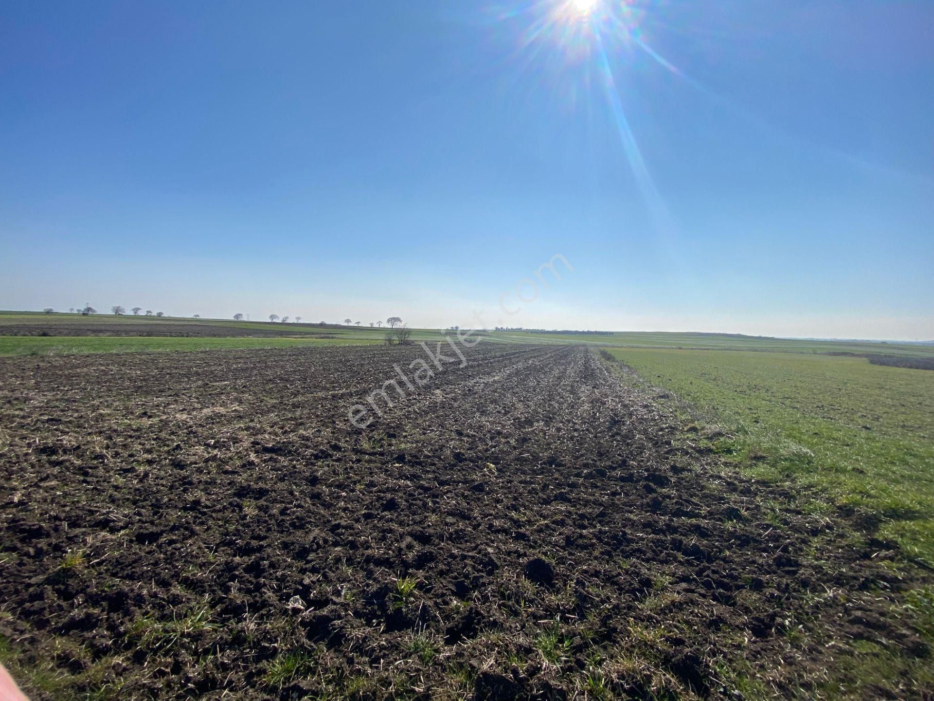 Bt Prestıge'den Yolu Olan Geleceği Parlak Acil Satılık Tarla - Görsel 16