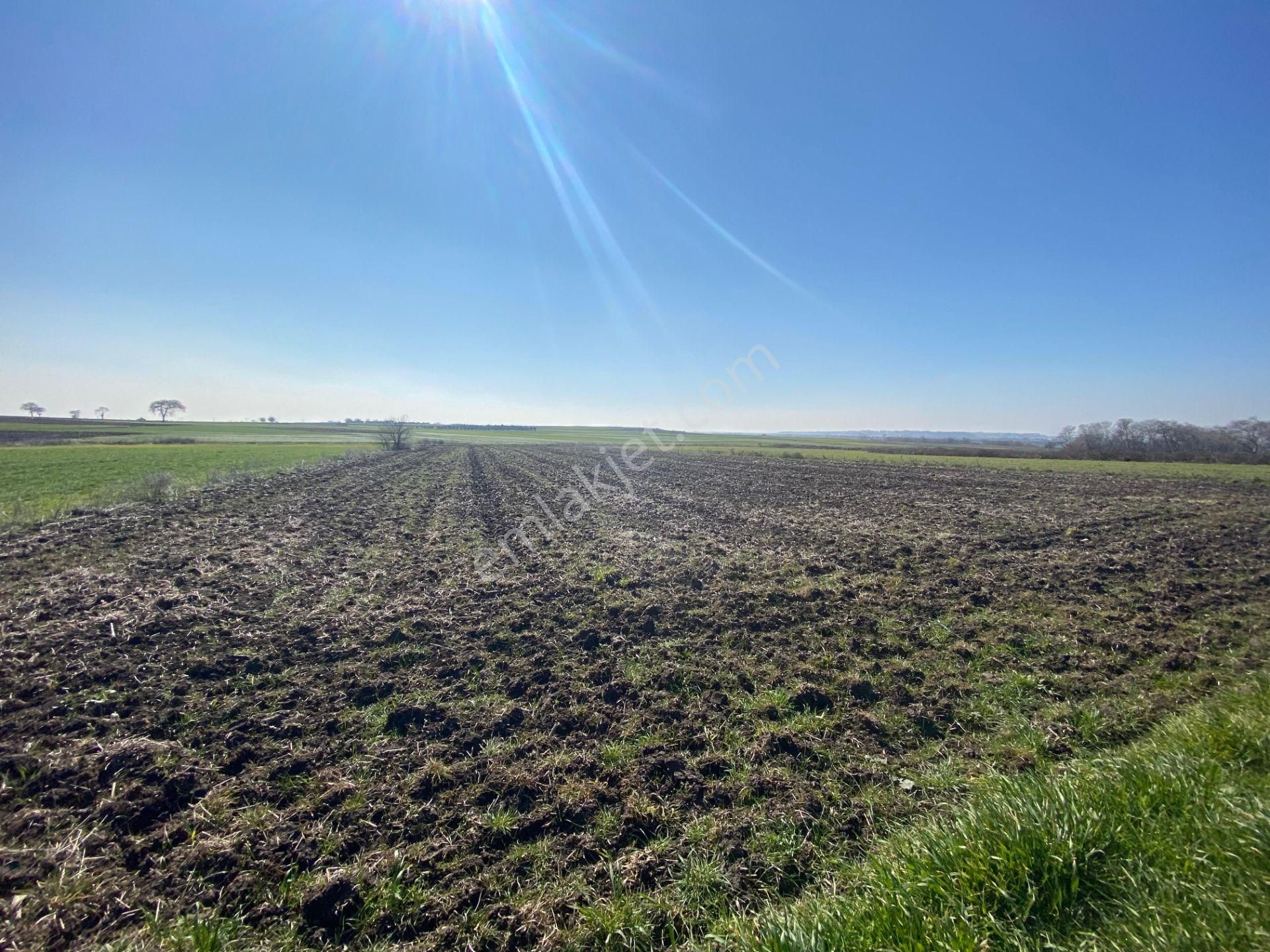 Bt Prestıge'den Yolu Olan Geleceği Parlak Acil Satılık Tarla - Görsel 7