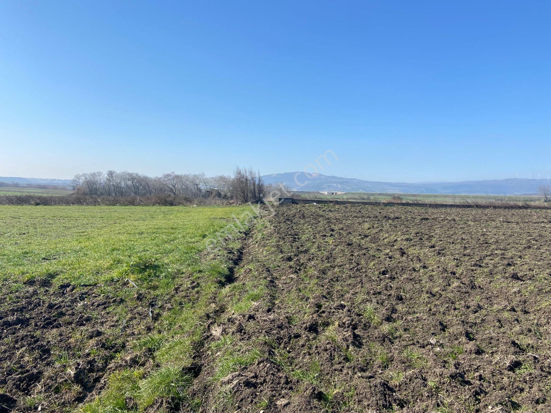 Bt Prestıge'den Yolu Olan Geleceği Parlak Acil Satılık Tarla - Görsel 3