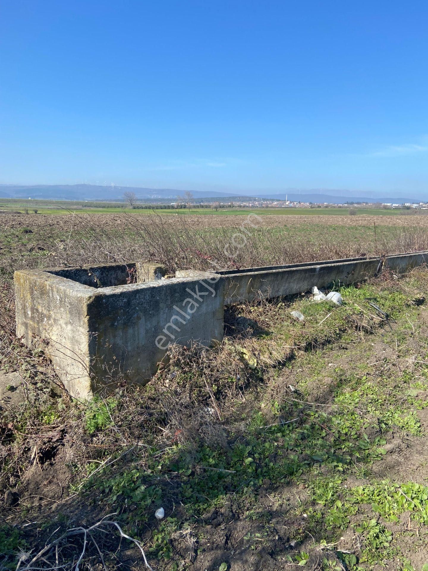 Bt Prestıge'den Yolu Olan Geleceği Parlak Acil Satılık Tarla - Görsel 13