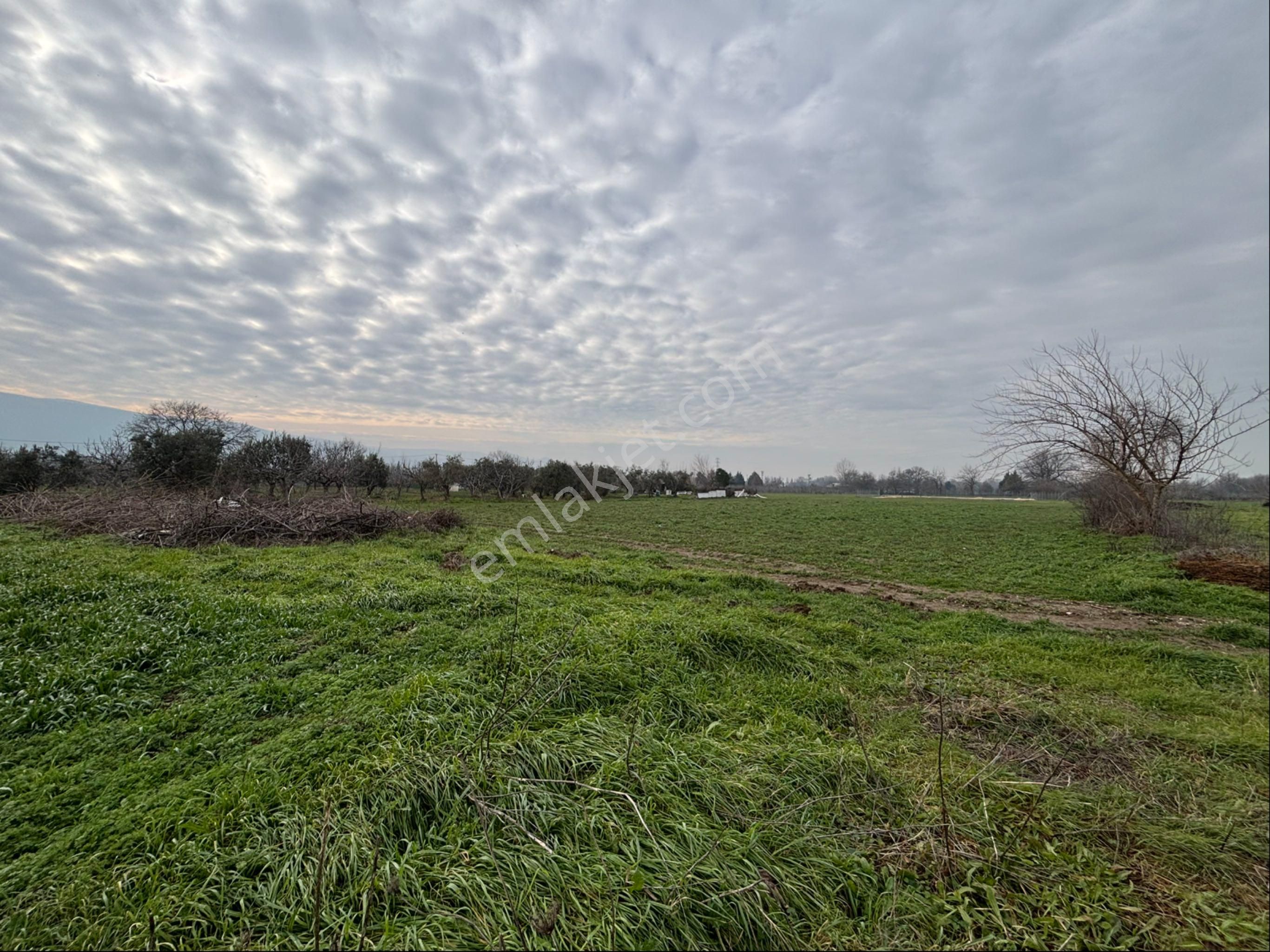 Bt Prestıge'den Akçalarda Fırsat İmar Dibi Satılık Bahçe - Görsel 5
