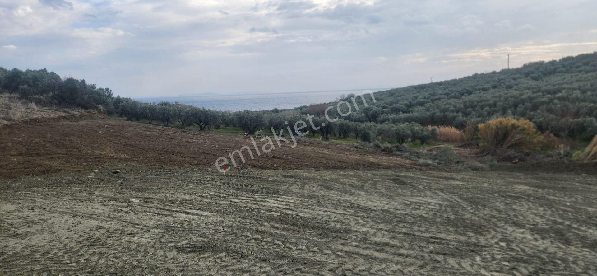 Bulut Yatırımdan 285 M² % 25 İmarlı Deniz Manzaralı Arsalar - Görsel 13