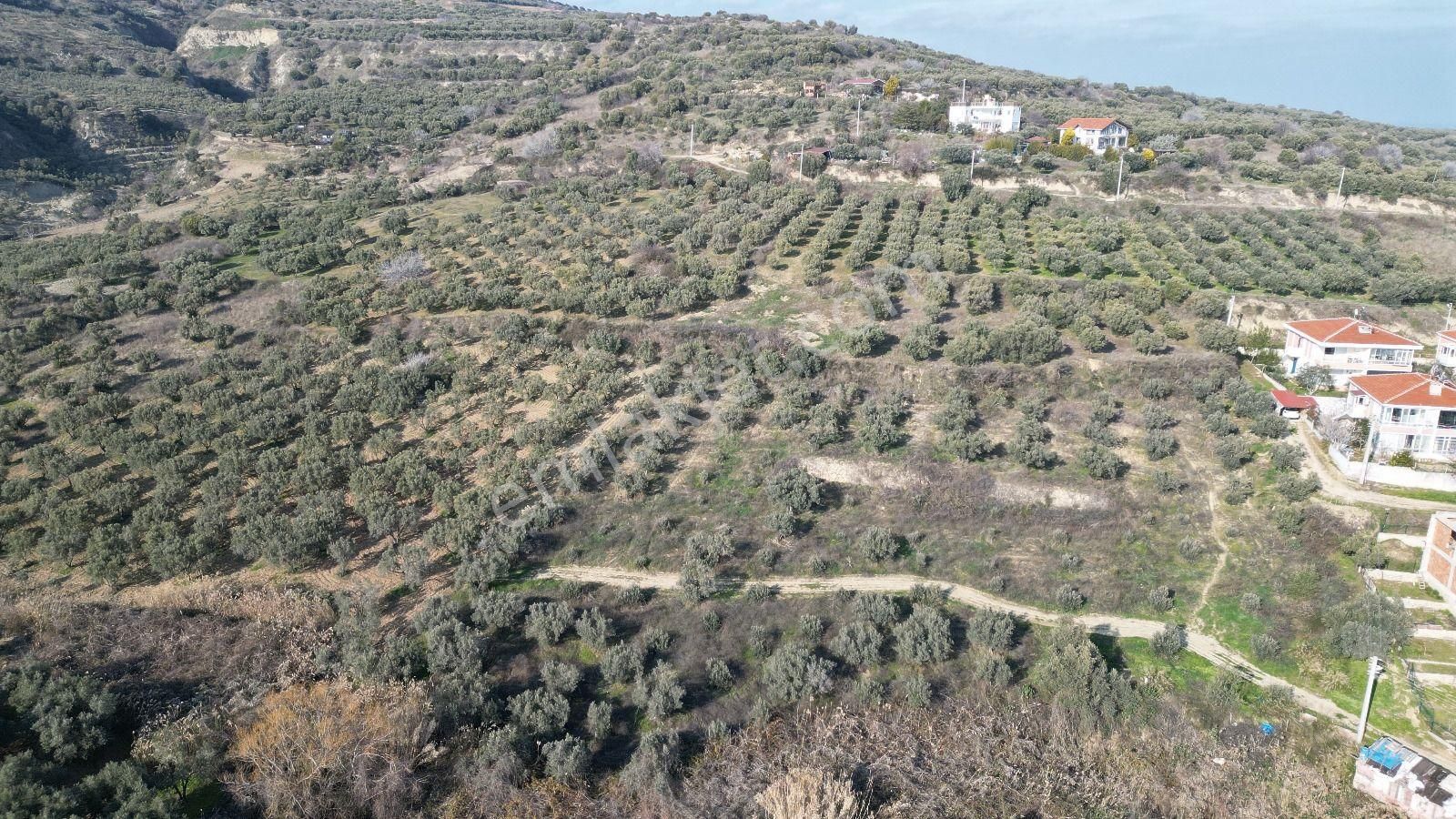 Bulut Yatırımdan 285 M² % 25 İmarlı Deniz Manzaralı Arsalar - Görsel 31