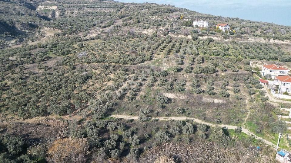 Bulut Yatırımdan 285 M² % 25 İmarlı Deniz Manzaralı Arsalar - Görsel 30