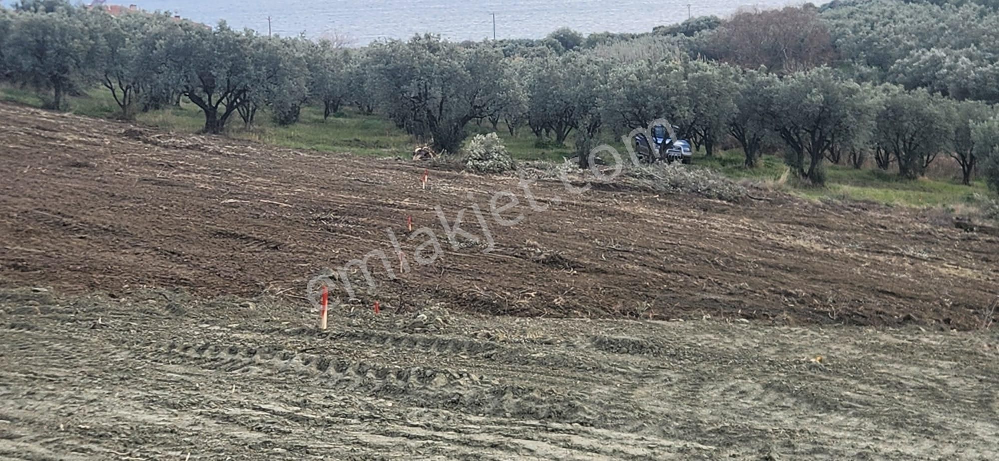 Bulut Yatırımdan 285 M² % 25 İmarlı Deniz Manzaralı Arsalar - Görsel 12