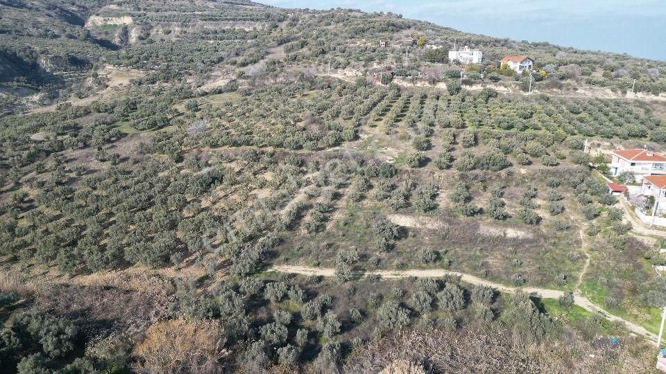 Bulut Yatırımdan 285 M² % 25 İmarlı Deniz Manzaralı Arsalar - Görsel 32