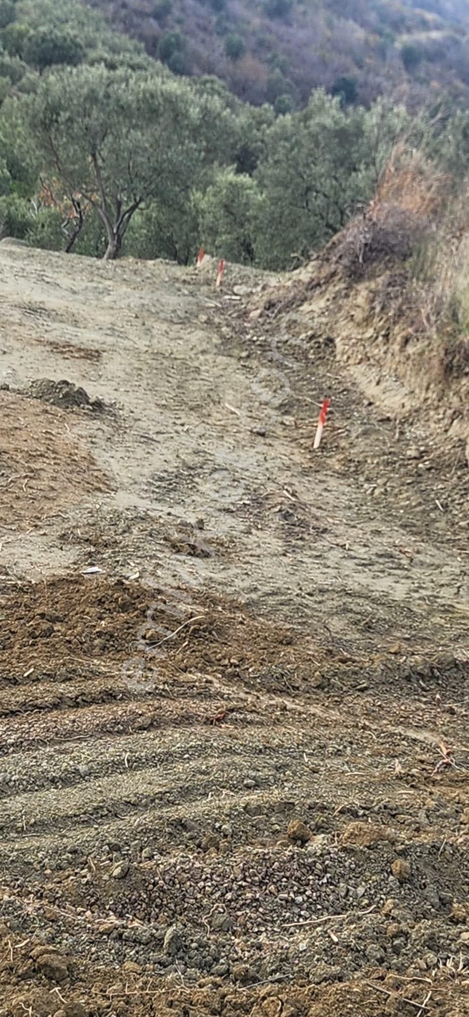 Bulut Yatırımdan 285 M² % 25 İmarlı Deniz Manzaralı Arsalar - Görsel 10