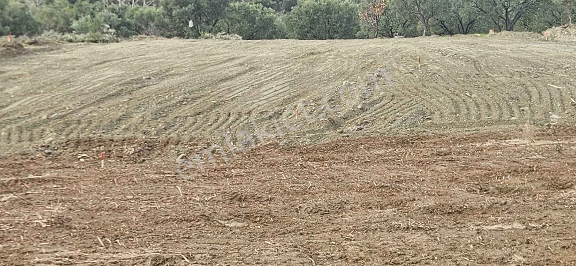 Bulut Yatırımdan 285 M² % 25 İmarlı Deniz Manzaralı Arsalar - Görsel 3