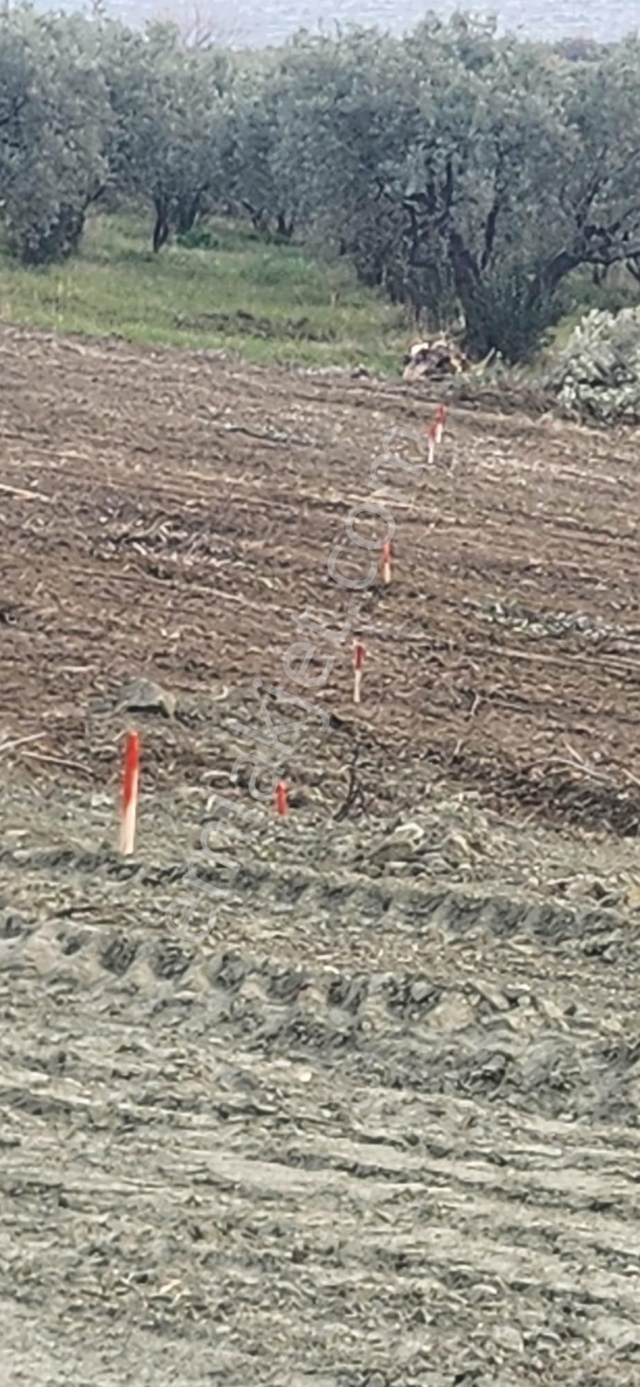 Bulut Yatırımdan 285 M² % 25 İmarlı Deniz Manzaralı Arsalar - Görsel 9