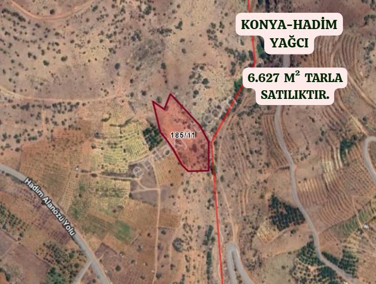 Konya Hadim Yağcı Köyünde 6.627 M² Tarla Satılıktır - Görsel 2