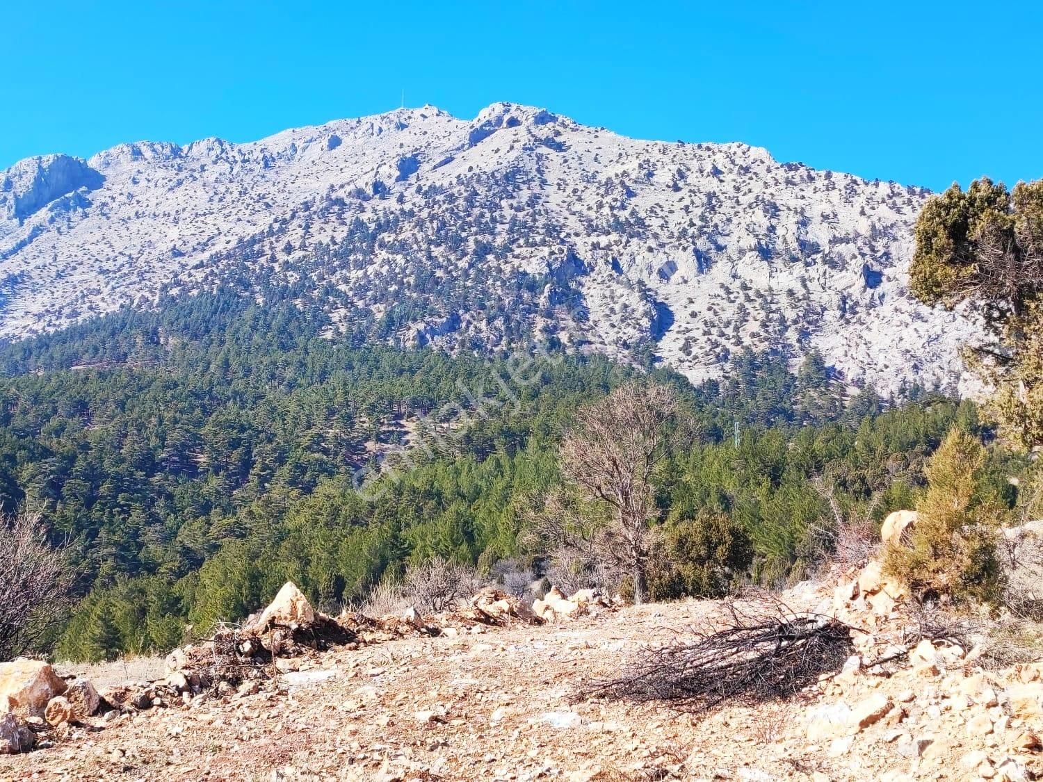 Kar Emlaktan Alpu Yaylasında 480 M2 Satılık Arsa - Görsel 24