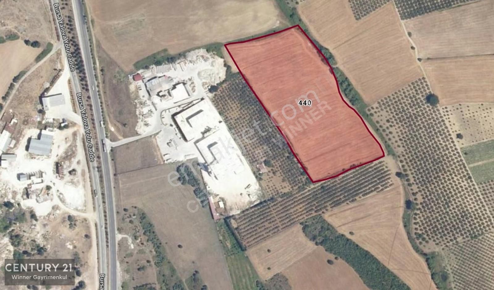 C21 Winner Bursa Orhangazi Cihanköy 34.060 M² Satılık Tarla