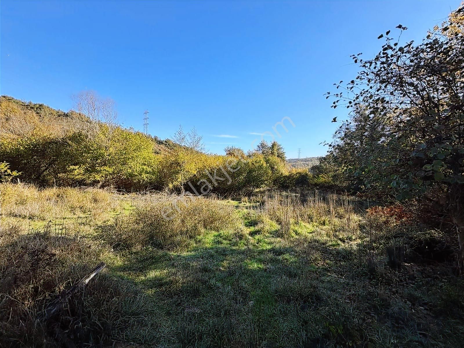İstanbul Şile Yaka Mahallesinde Satılık Arsa - Görsel 2