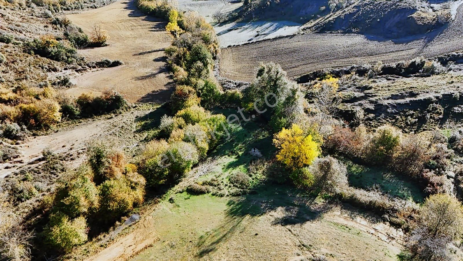İstanbul Şile Yaka Mahallesinde Satılık Arsa - Görsel 6