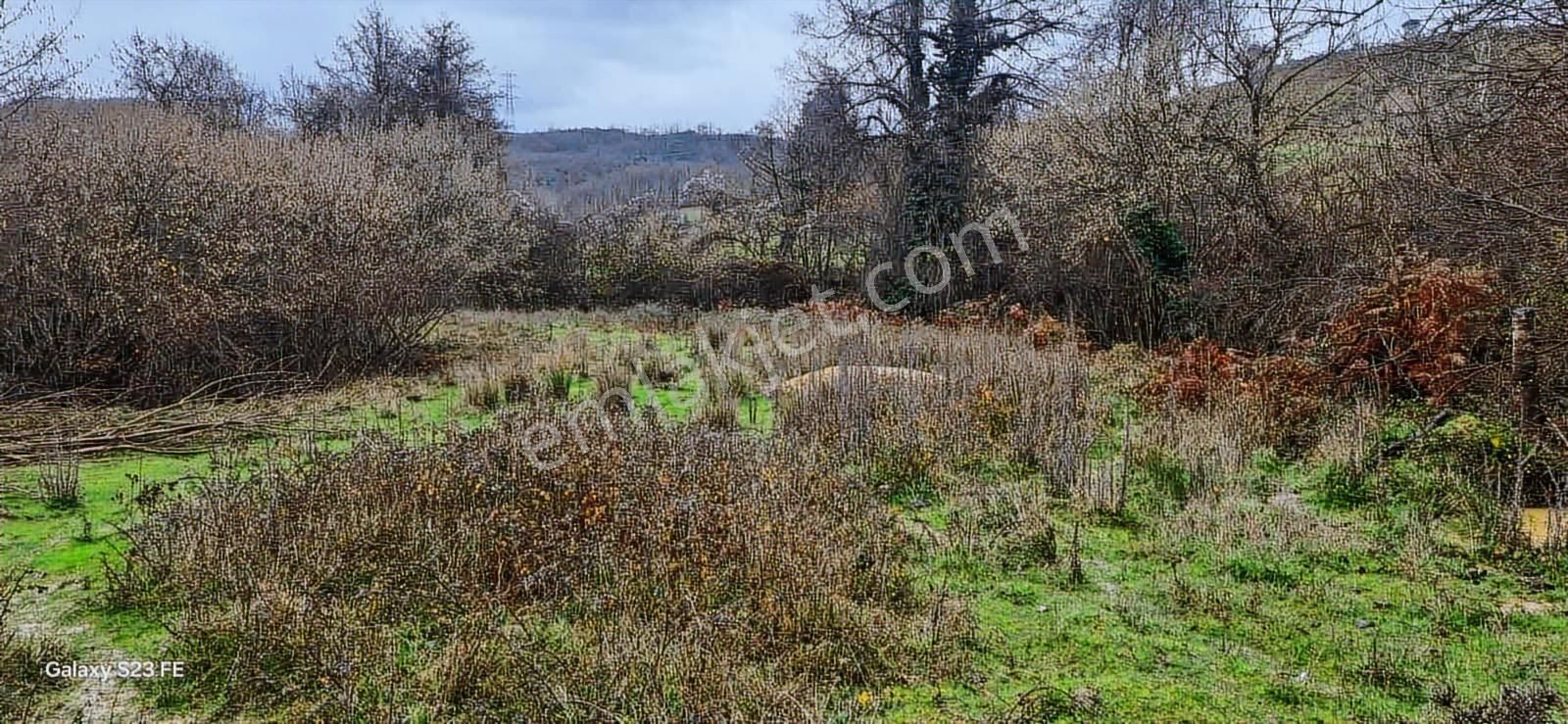 İstanbul Şile Yaka Mahallesinde Satılık Arsa - Görsel 16