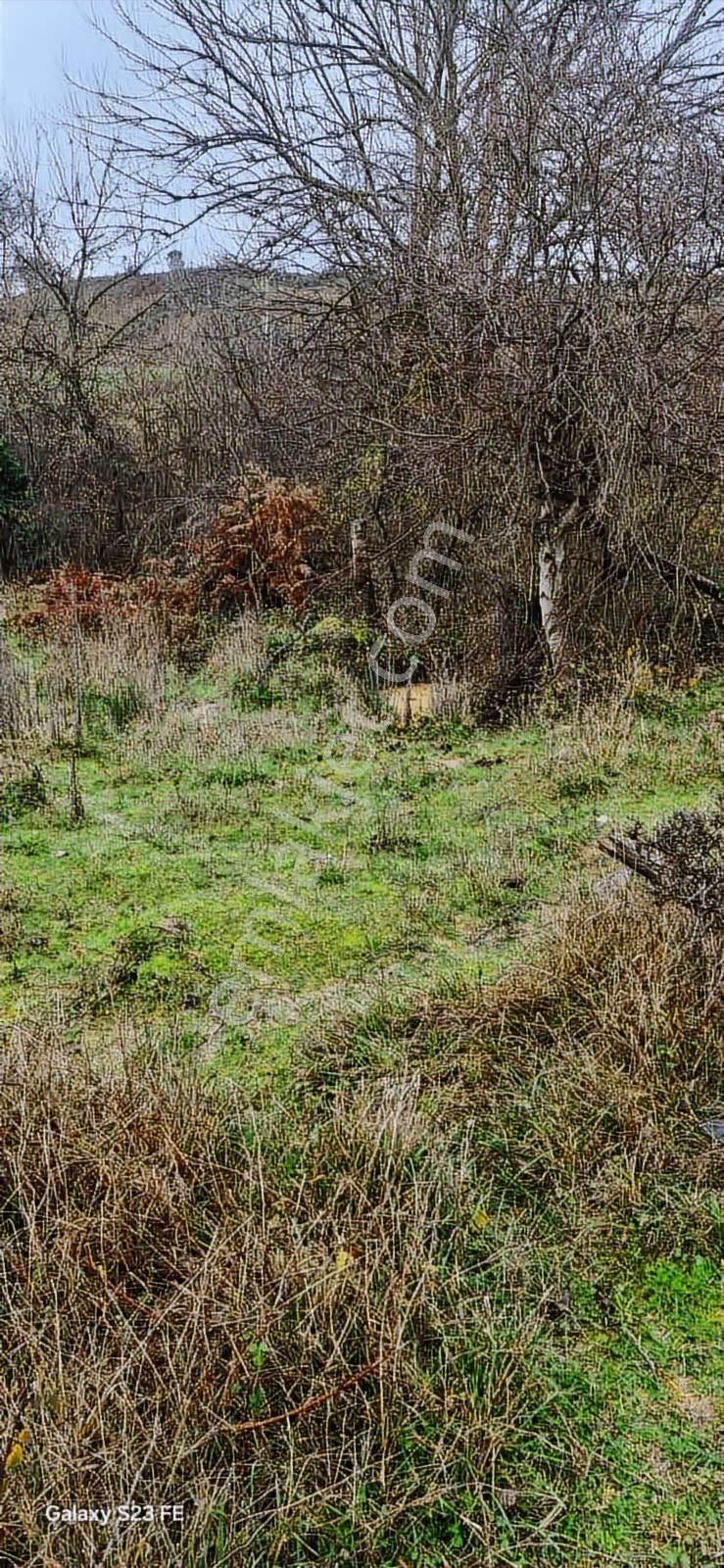 İstanbul Şile Yaka Mahallesinde Satılık Arsa - Görsel 14