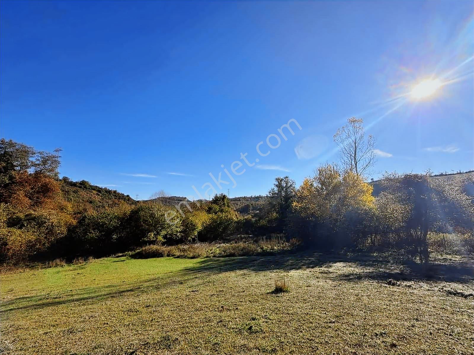 İstanbul Şile Yaka Mahallesinde Satılık Arsa - Görsel 5