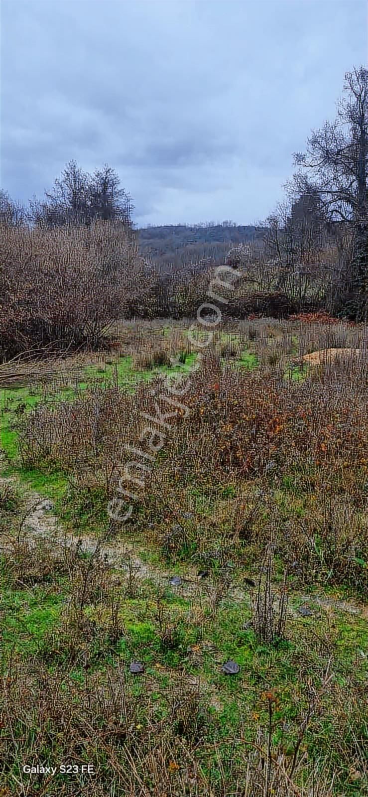 İstanbul Şile Yaka Mahallesinde Satılık Arsa - Görsel 15