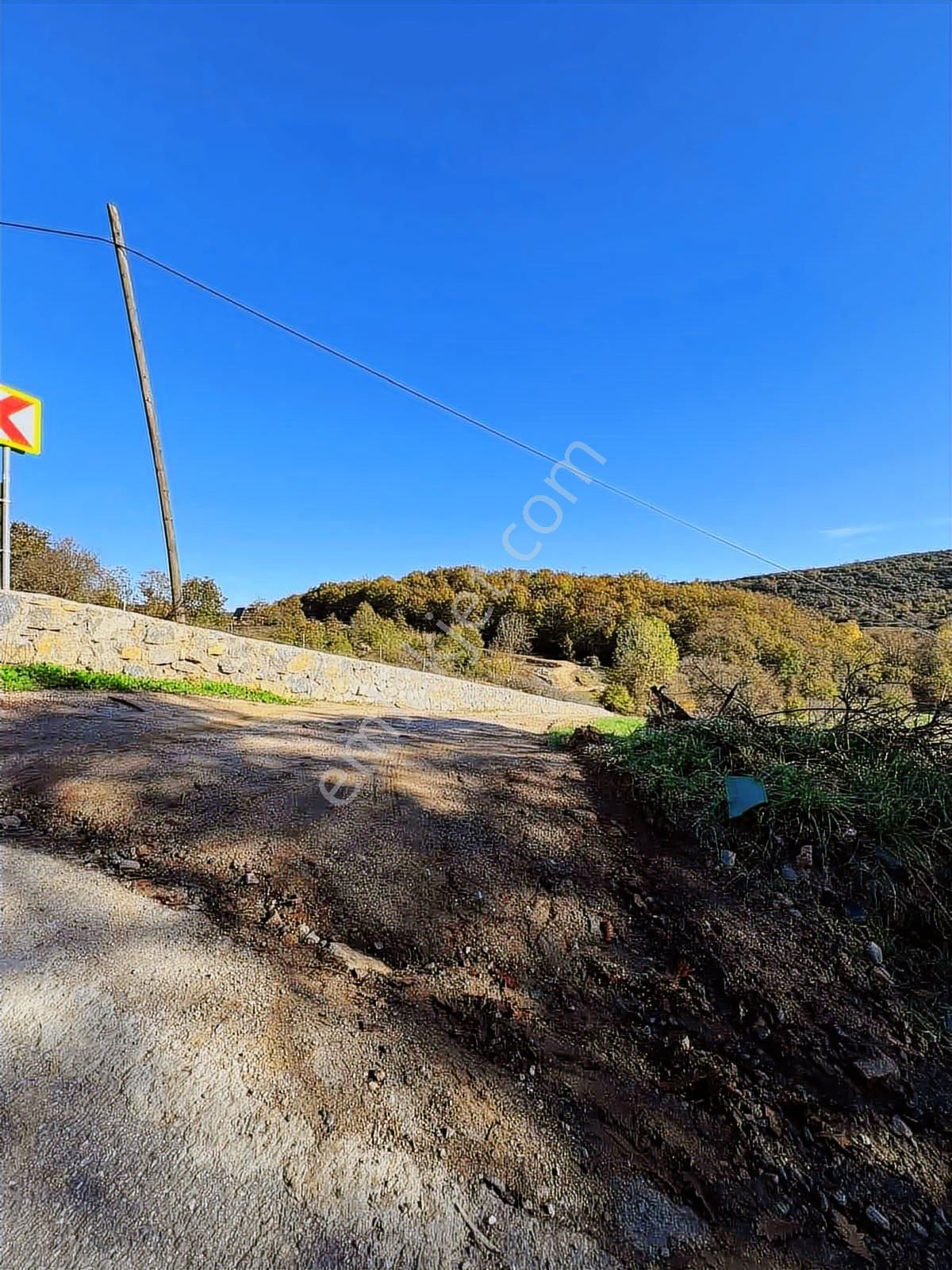 İstanbul Şile Yaka Mahallesinde Satılık Arsa - Görsel 4