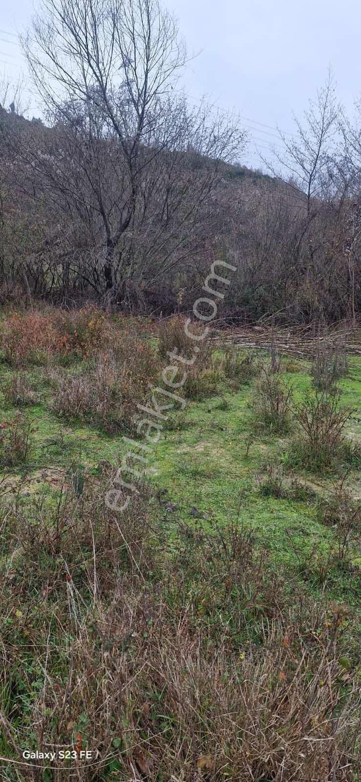 İstanbul Şile Yaka Mahallesinde Satılık Arsa - Görsel 13