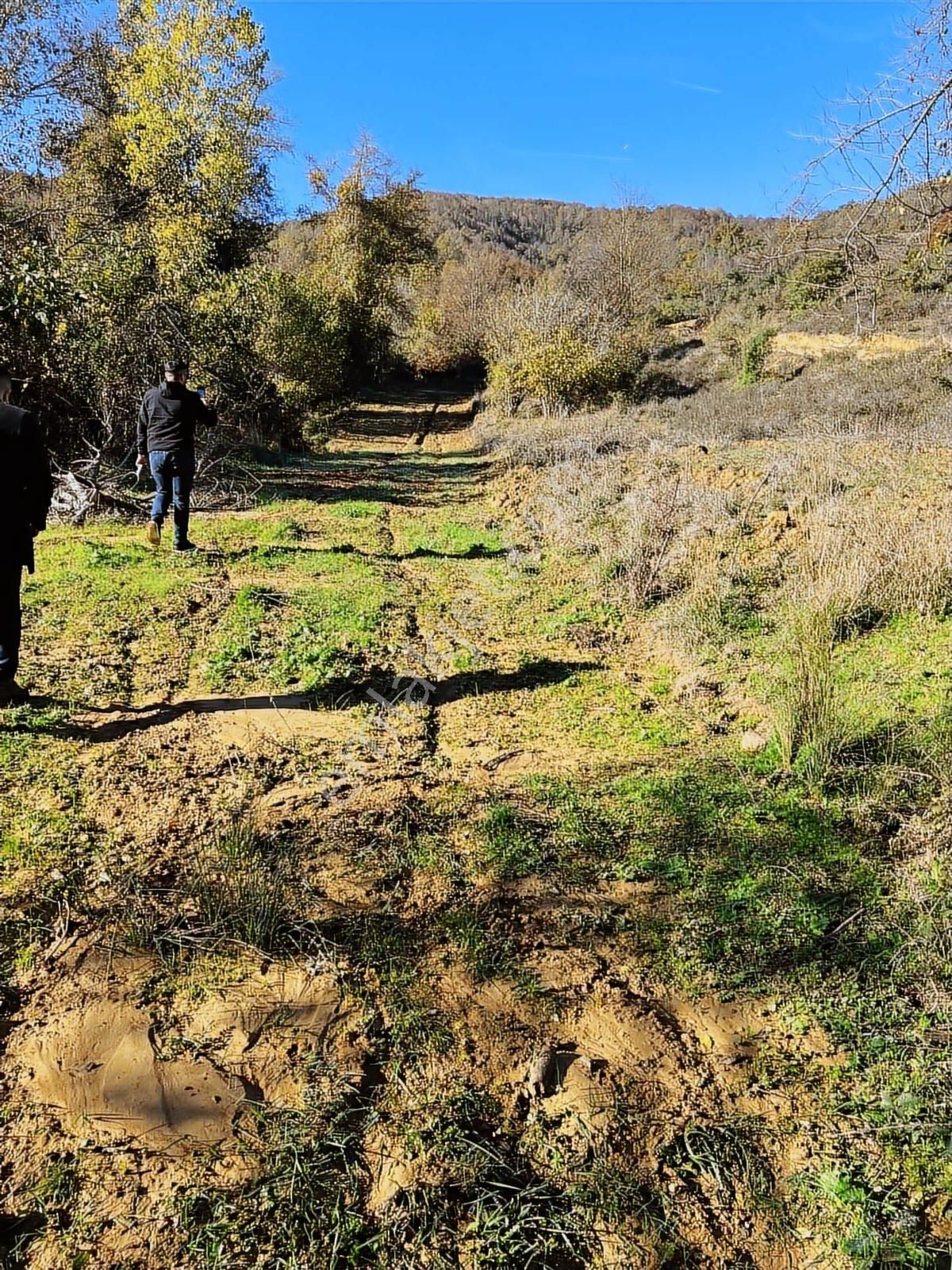 İstanbul Şile Yaka Mahallesinde Satılık Arsa - Görsel 7