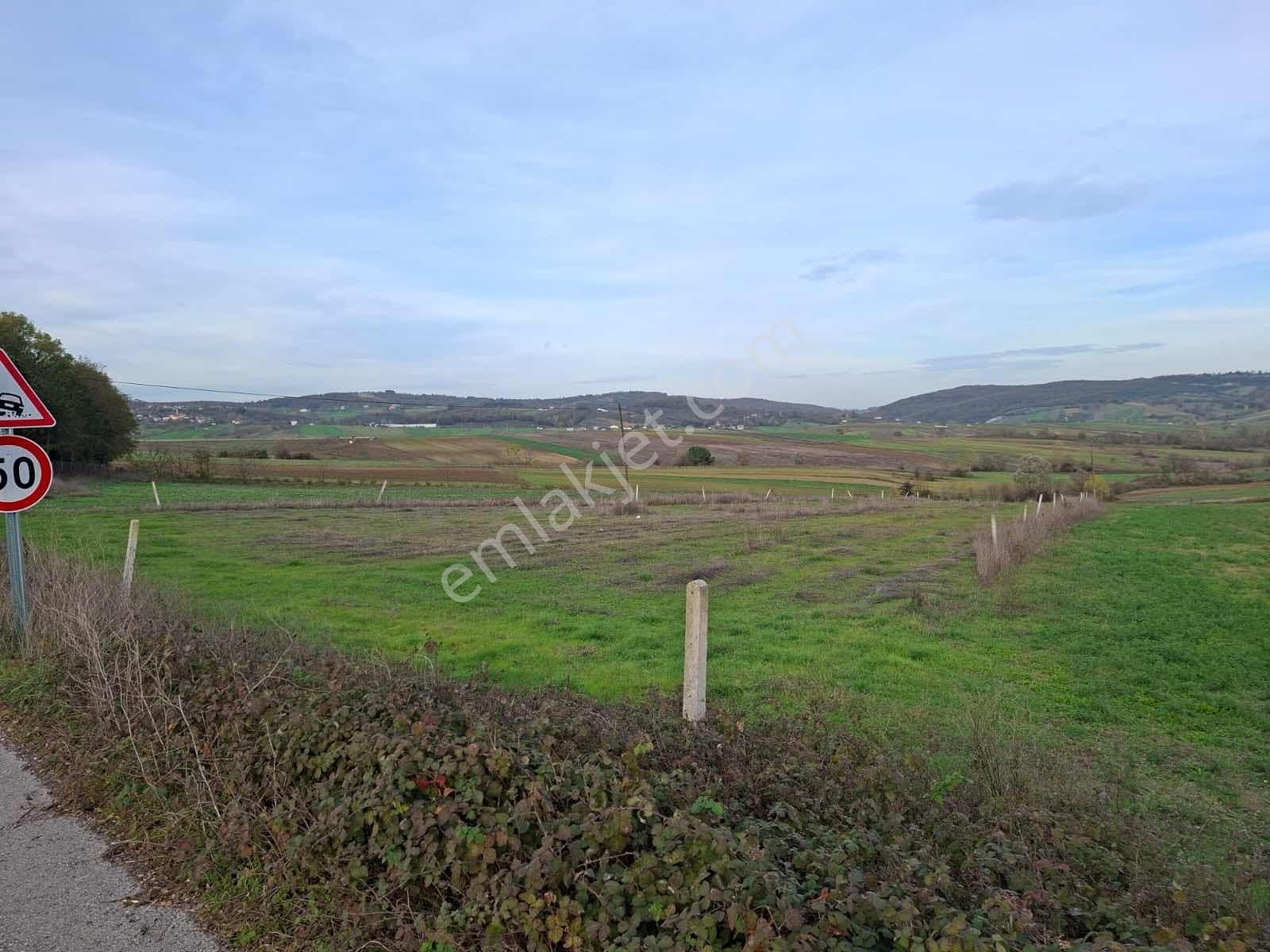 Kandıra Karadivan Yola Cephe Yatırımlık Tarla - Görsel 5