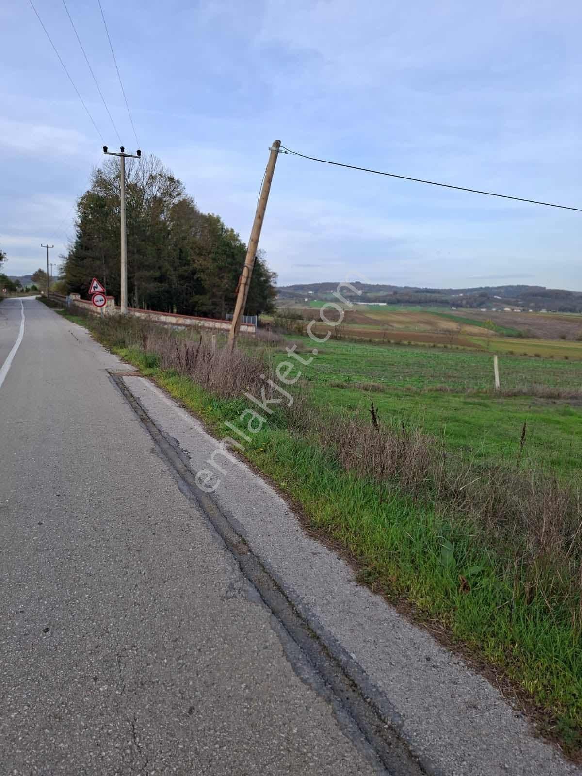 Kandıra Karadivan Yola Cephe Yatırımlık Tarla - Görsel 2