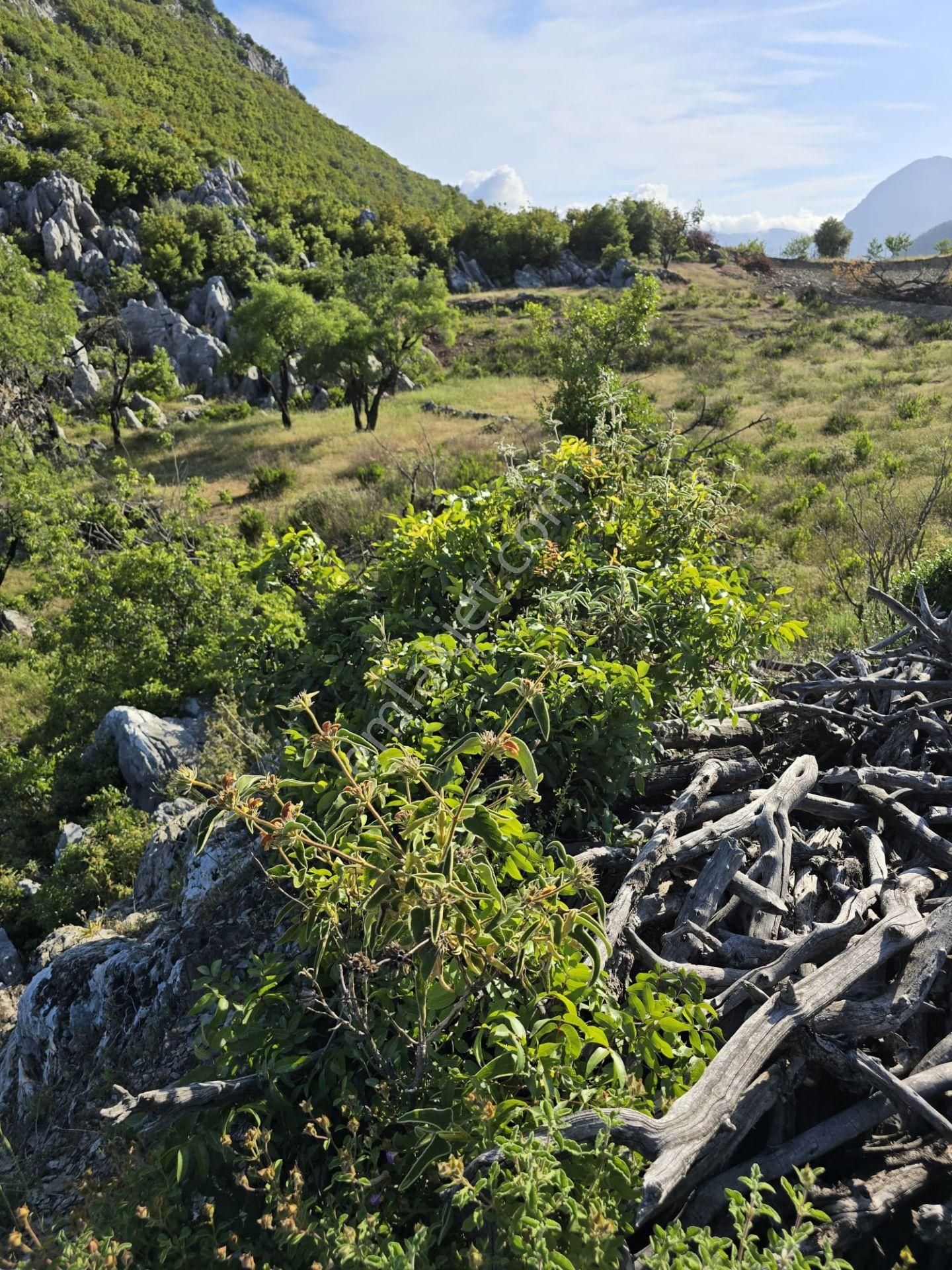 Mersin Anamur Karaçukur Müstakil Tapulu Satılık Tarla - Görsel 5