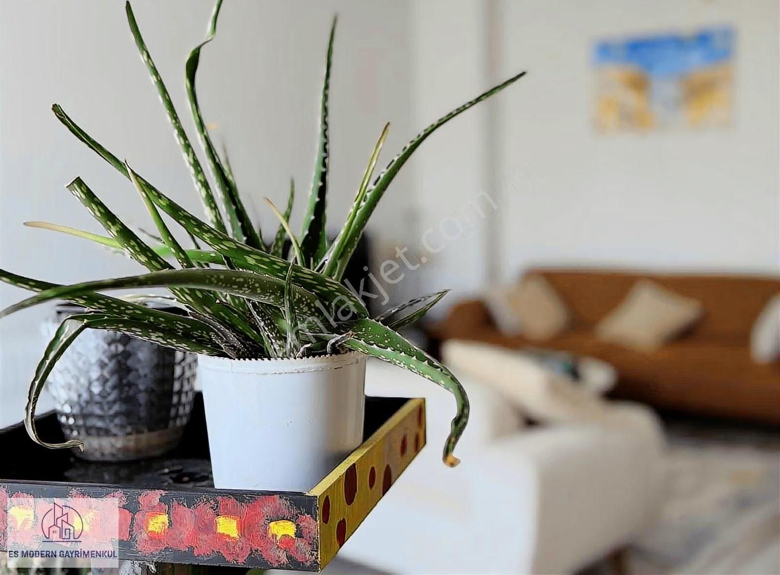 Doktorlar Cd. Tramvay Durağı Önünde Mükemmel Konum 3+1 Daire - Görsel 25