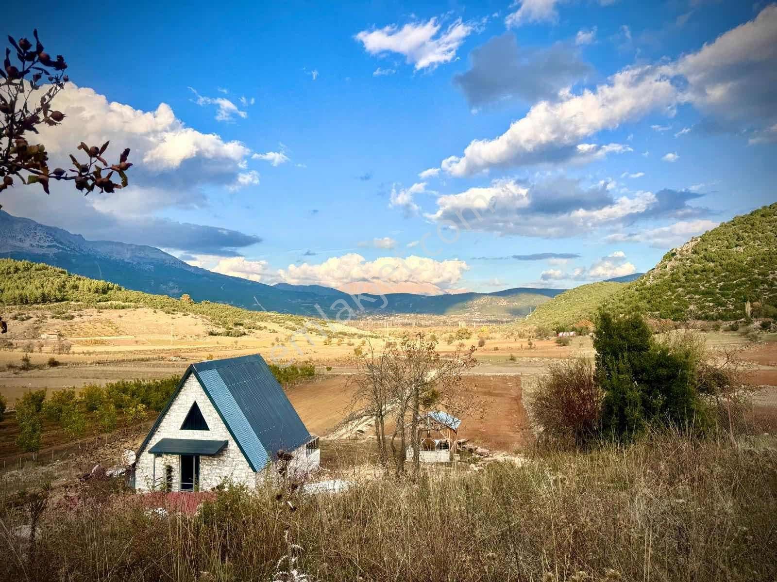 Güneş Enerjili 75m2 Bungalov Ev 110 Tane Ağaç Dikili Arazi