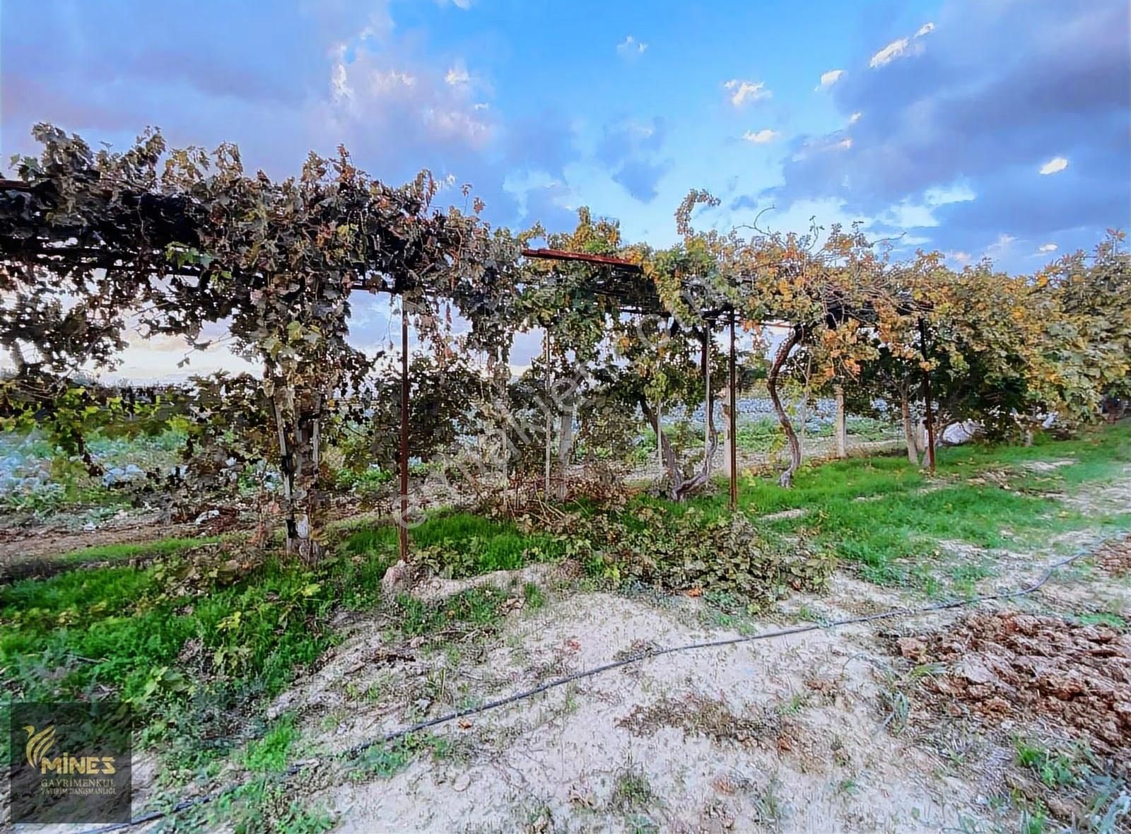 Torbalı Çaybaşı'nda Yola Cepheli Satılık Tarla - Görsel 24