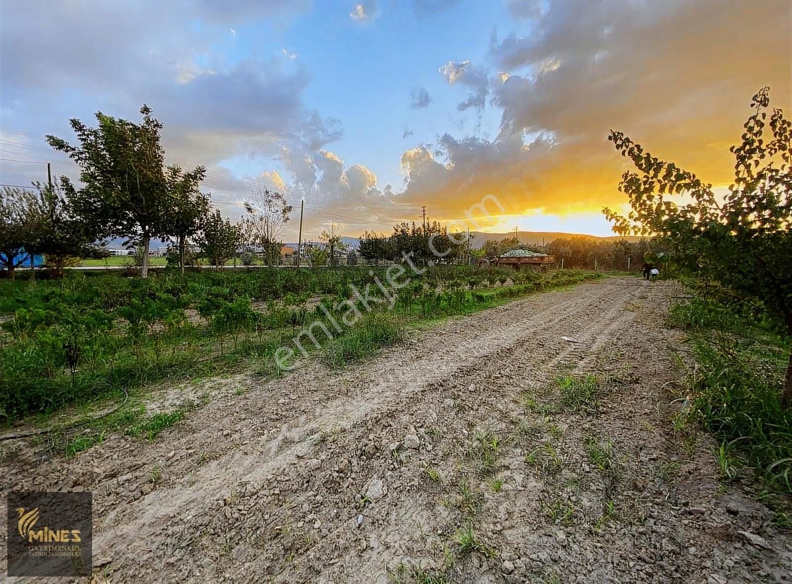 Torbalı Çaybaşı'nda Yola Cepheli Satılık Tarla - Görsel 7