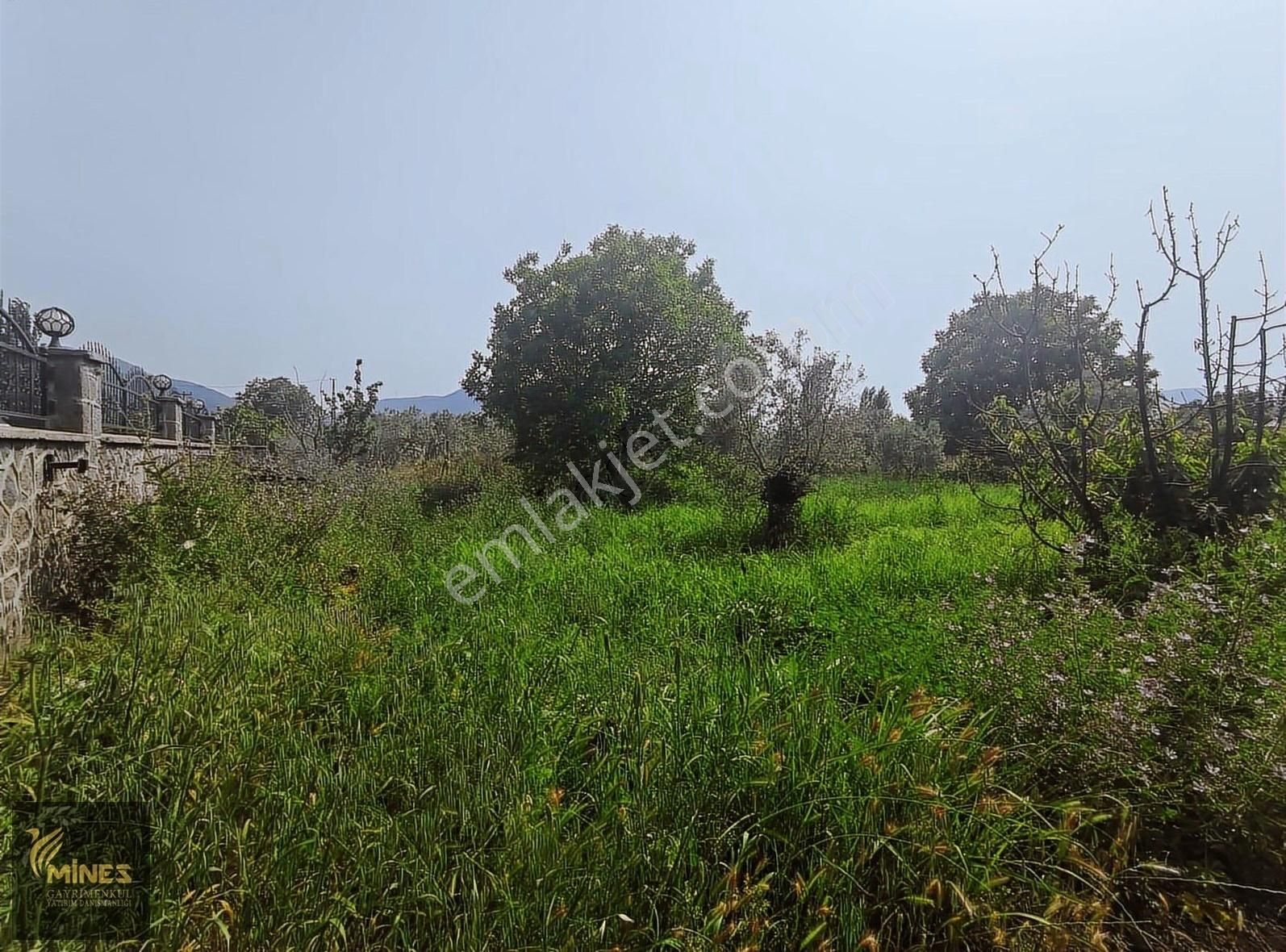 Armutlu 85. Yıl Cumhuriyet Mah. 5.150 M² Satılık Bağ - Görsel 6