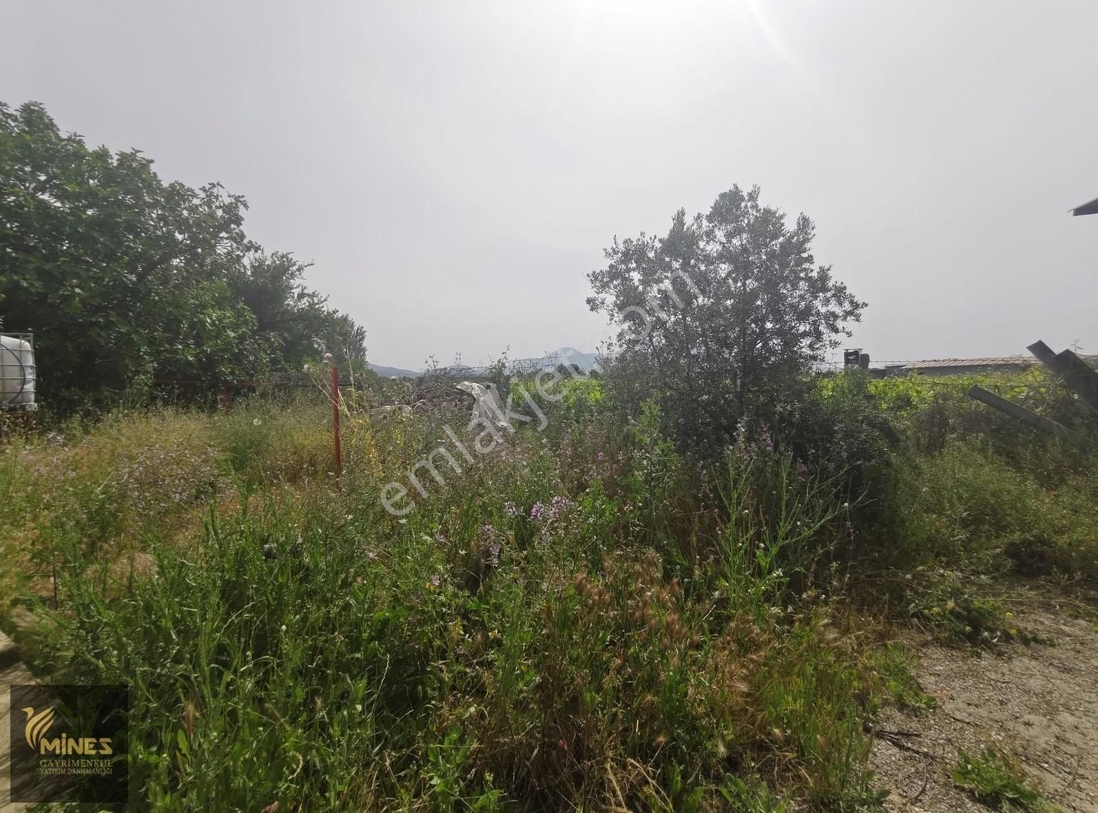 Armutlu 85. Yıl Cumhuriyet Mah. 5.150 M² Satılık Bağ - Görsel 27