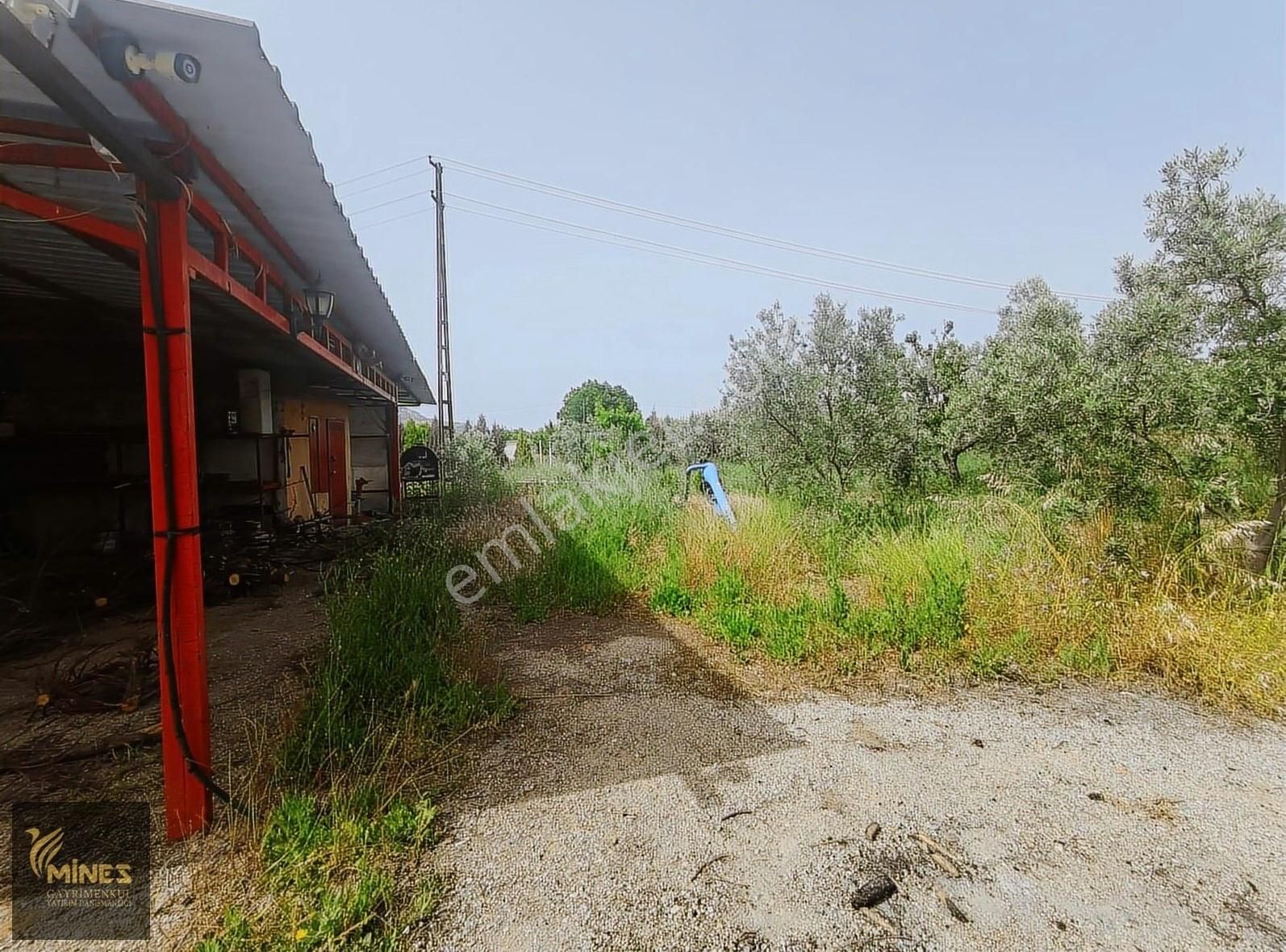 Armutlu 85. Yıl Cumhuriyet Mah. 5.150 M² Satılık Bağ - Görsel 13