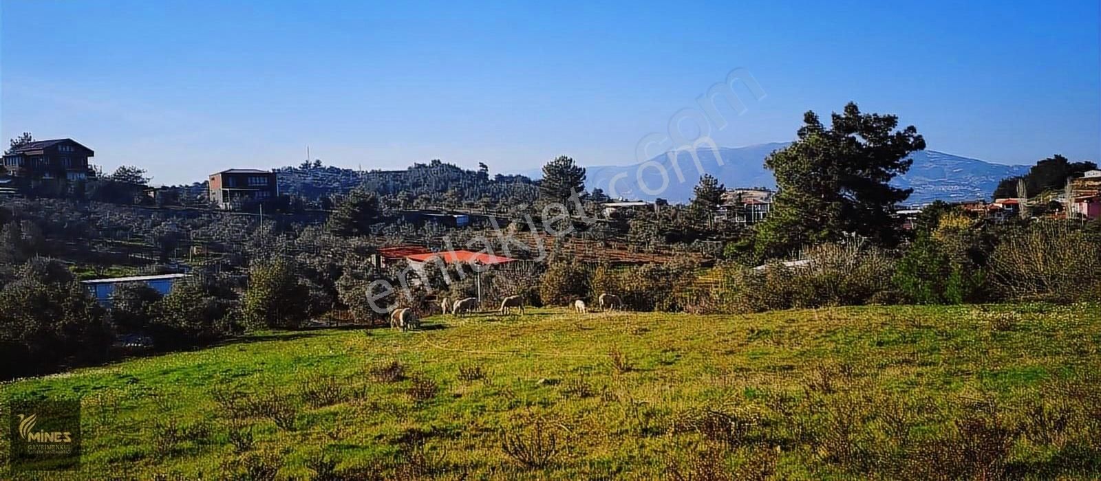 Kemalpaşa Aşağıkızılca Muhteşem Lokasyon 10.636 M2 Satılık Arazi