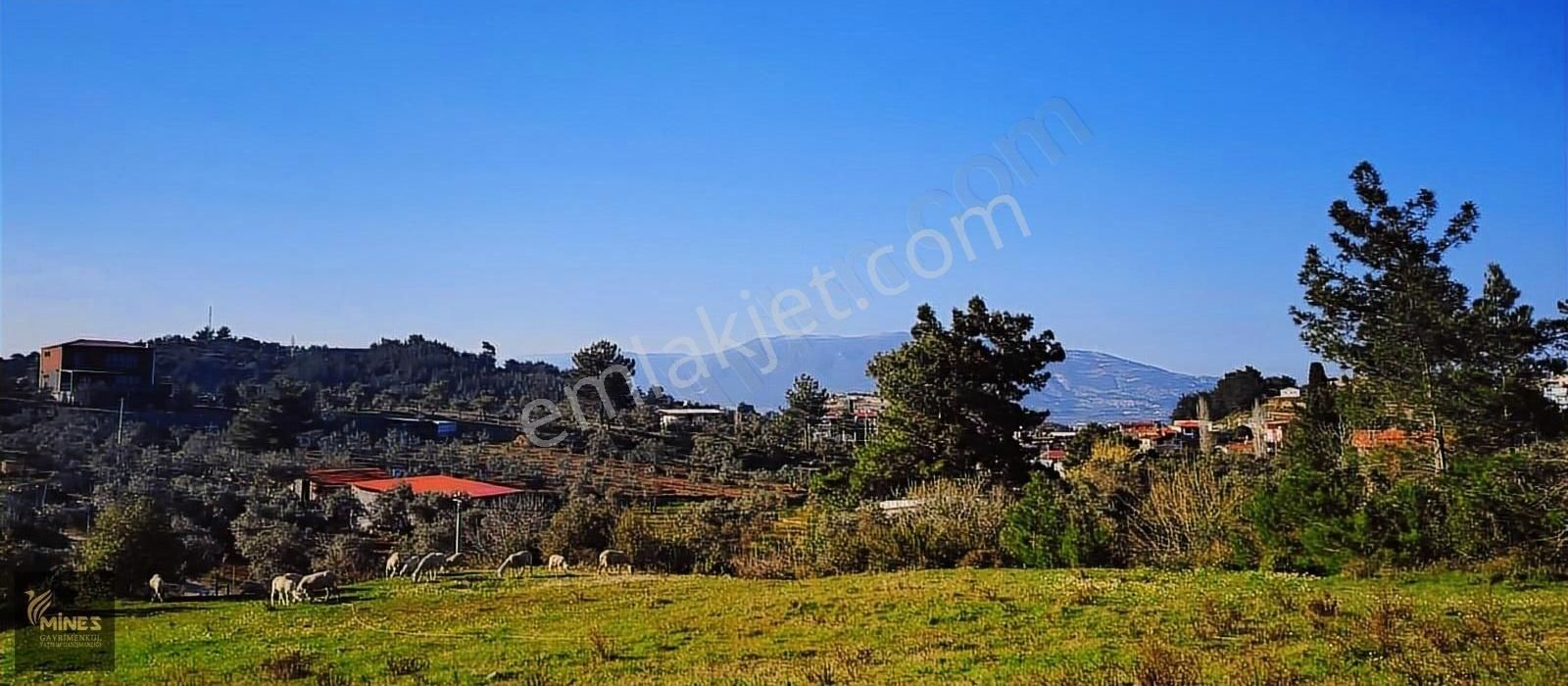 Kemalpaşa Aşağıkızılca Muhteşem Lokasyon 10.636 M2 Satılık Arazi - Görsel 21