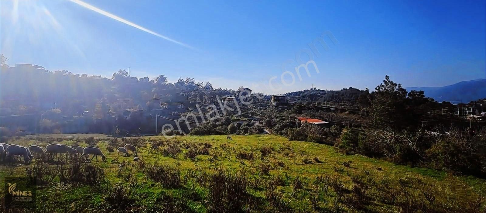 Kemalpaşa Aşağıkızılca Muhteşem Lokasyon 10.636 M2 Satılık Arazi - Görsel 4