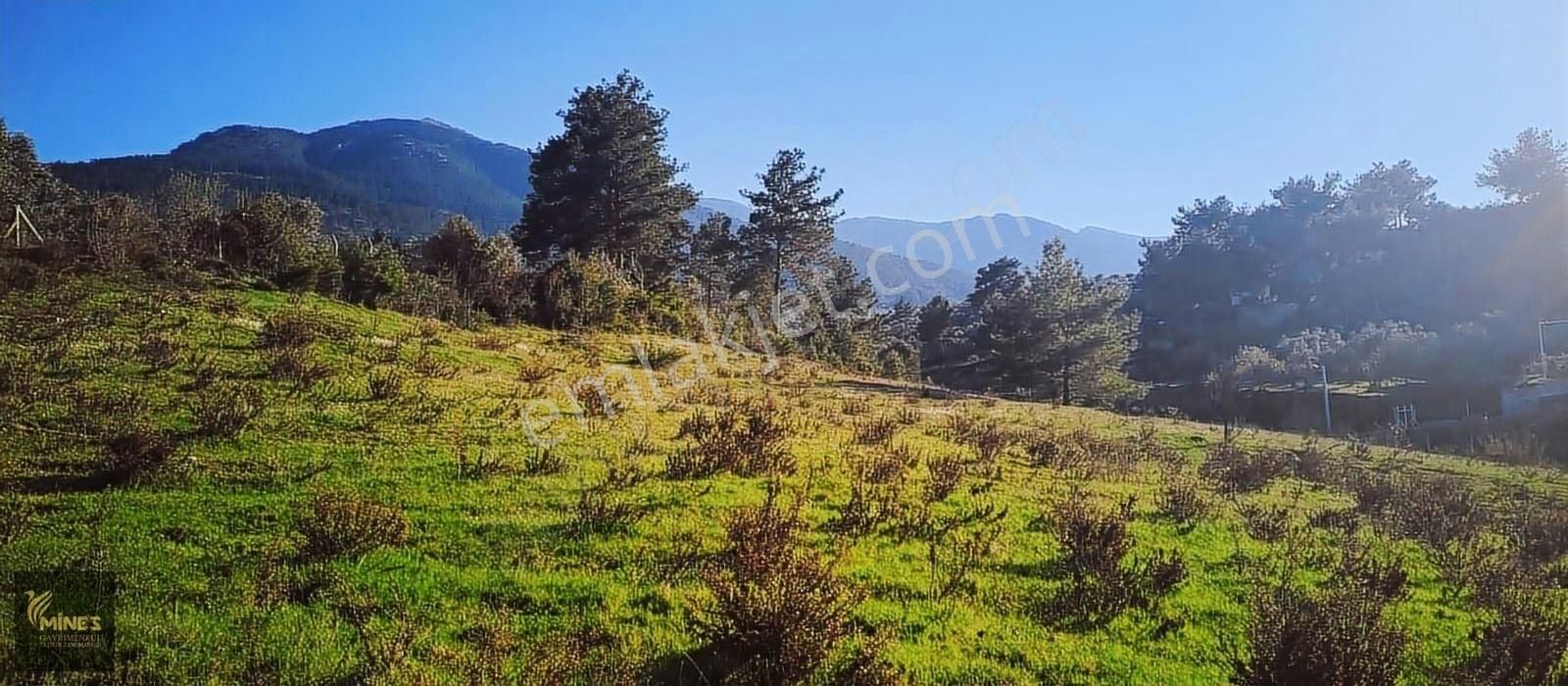 Kemalpaşa Aşağıkızılca Muhteşem Lokasyon 10.636 M2 Satılık Arazi - Görsel 9