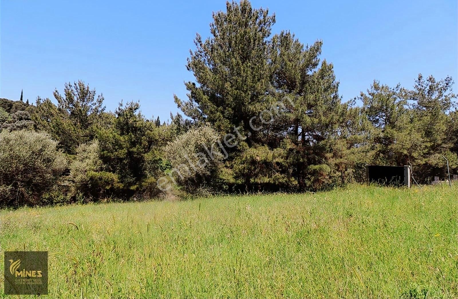 Yukarı Kızılca'da Merkeze Yakın 2.931 M² Satılık Arazi - Görsel 22