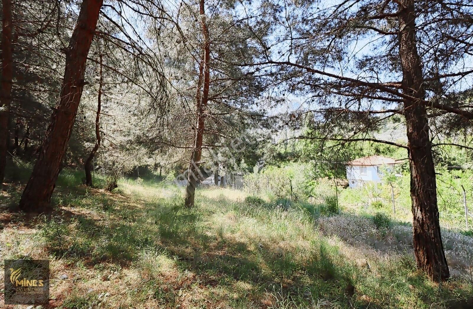 Yukarı Kızılca'da Merkeze Yakın 2.931 M² Satılık Arazi - Görsel 7