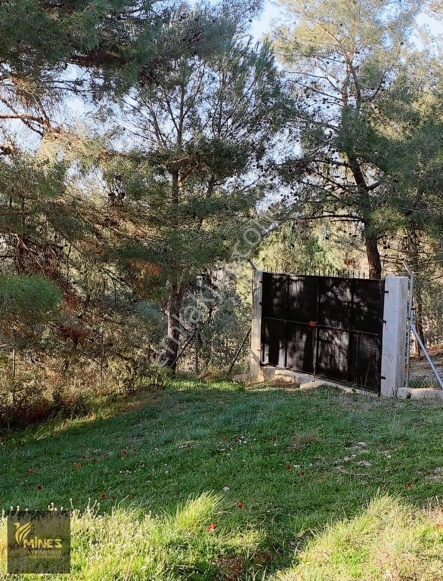 Yukarı Kızılca'da Merkeze Yakın 2.931 M² Satılık Arazi - Görsel 13