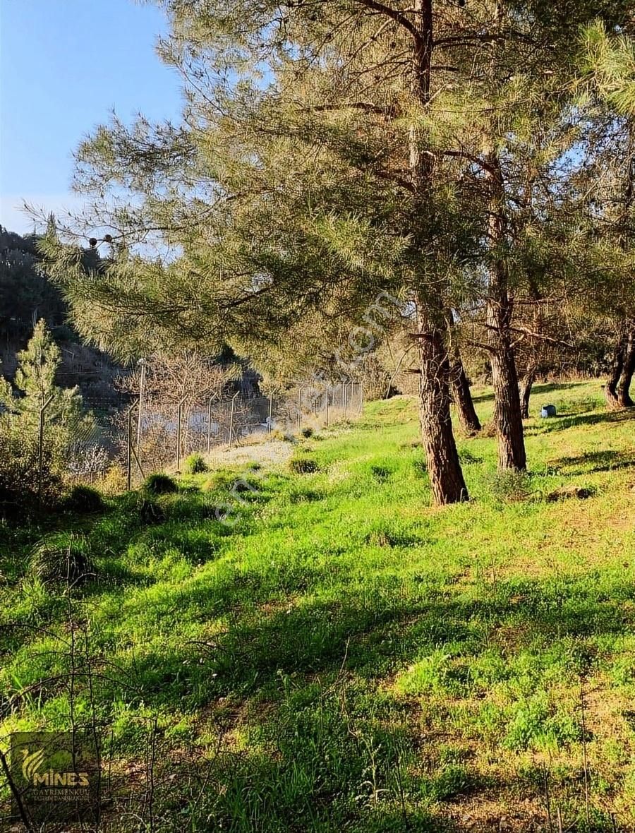 Yukarı Kızılca'da Merkeze Yakın 2.931 M² Satılık Arazi - Görsel 30