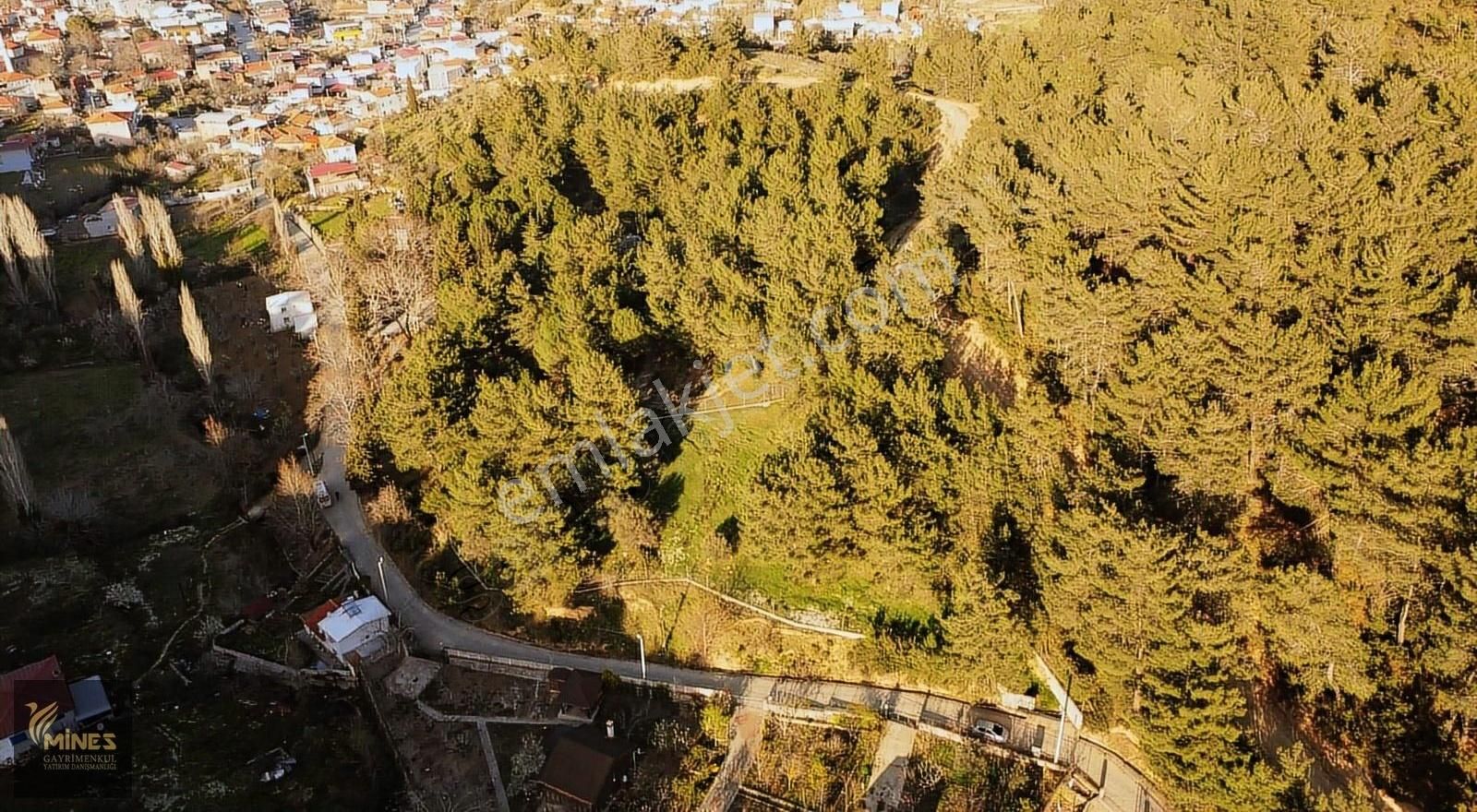 Yukarı Kızılca'da Merkeze Yakın 2.931 M² Satılık Arazi - Görsel 29