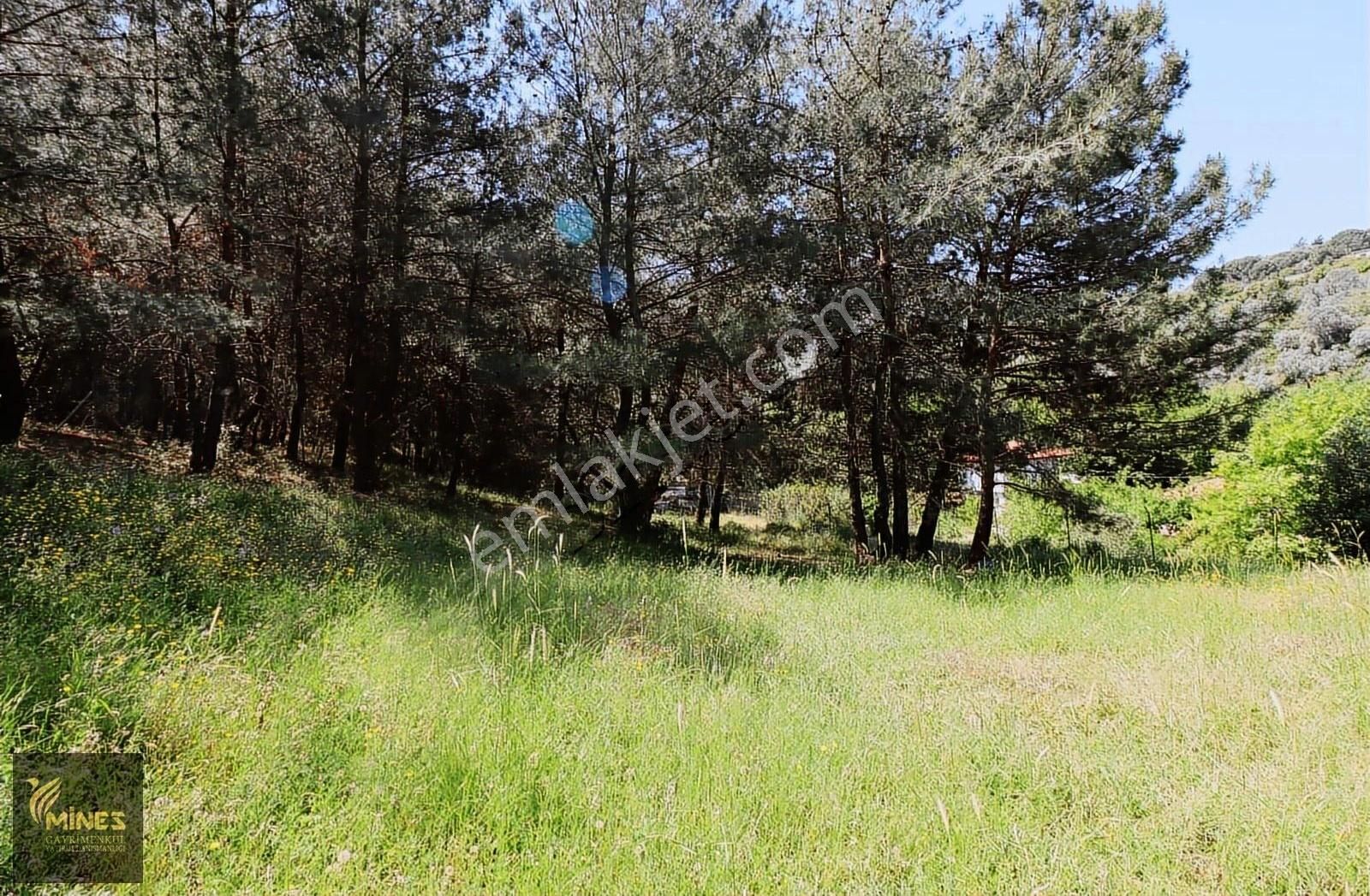 Yukarı Kızılca'da Merkeze Yakın 2.931 M² Satılık Arazi - Görsel 10