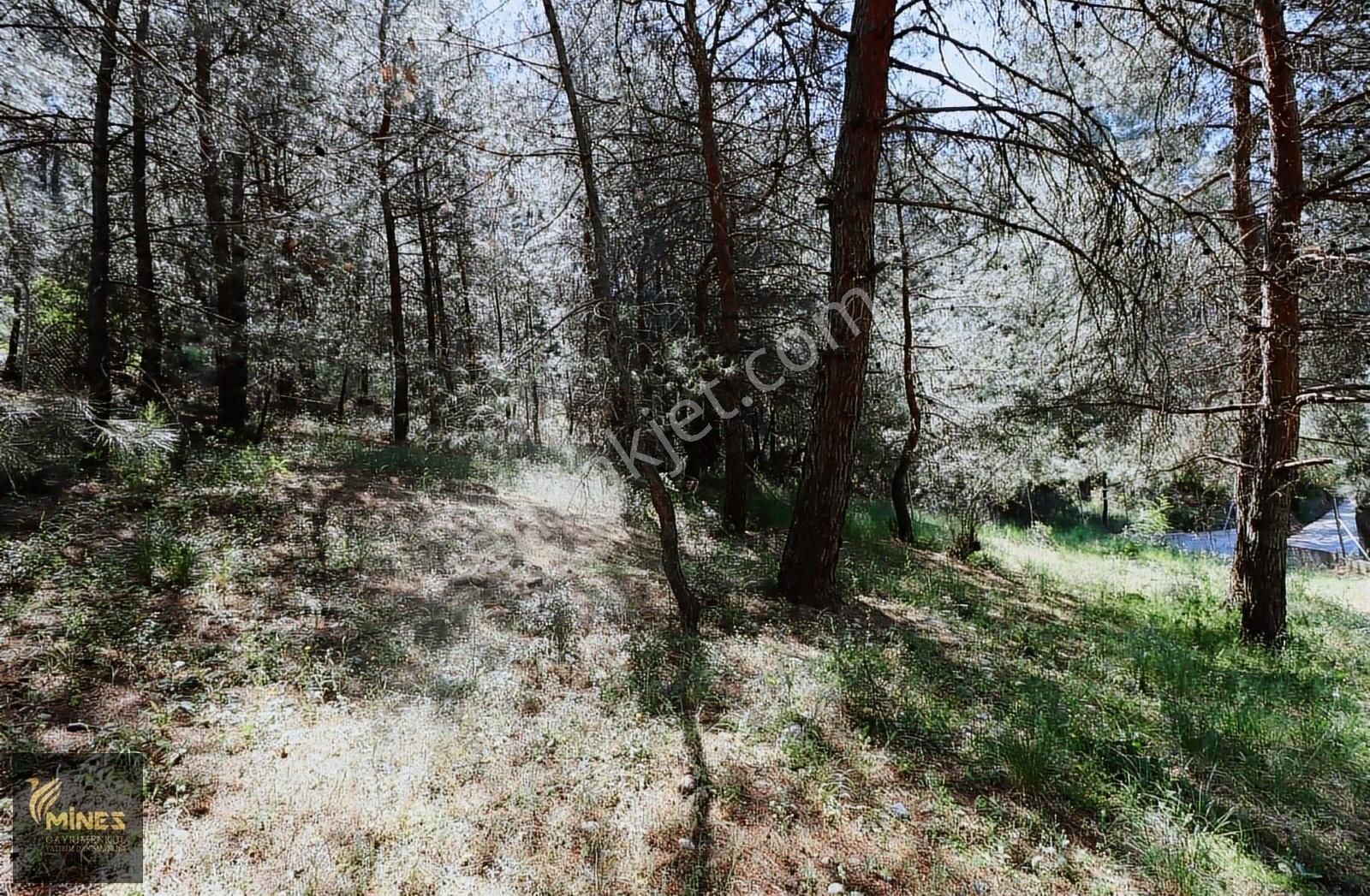 Yukarı Kızılca'da Merkeze Yakın 2.931 M² Satılık Arazi - Görsel 28