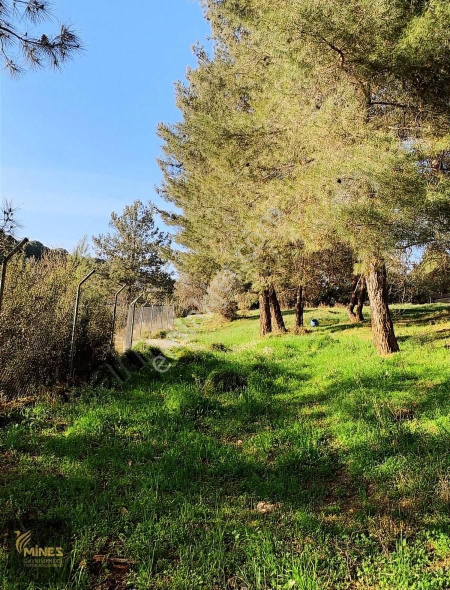 Yukarı Kızılca'da Merkeze Yakın 2.931 M² Satılık Arazi - Görsel 8