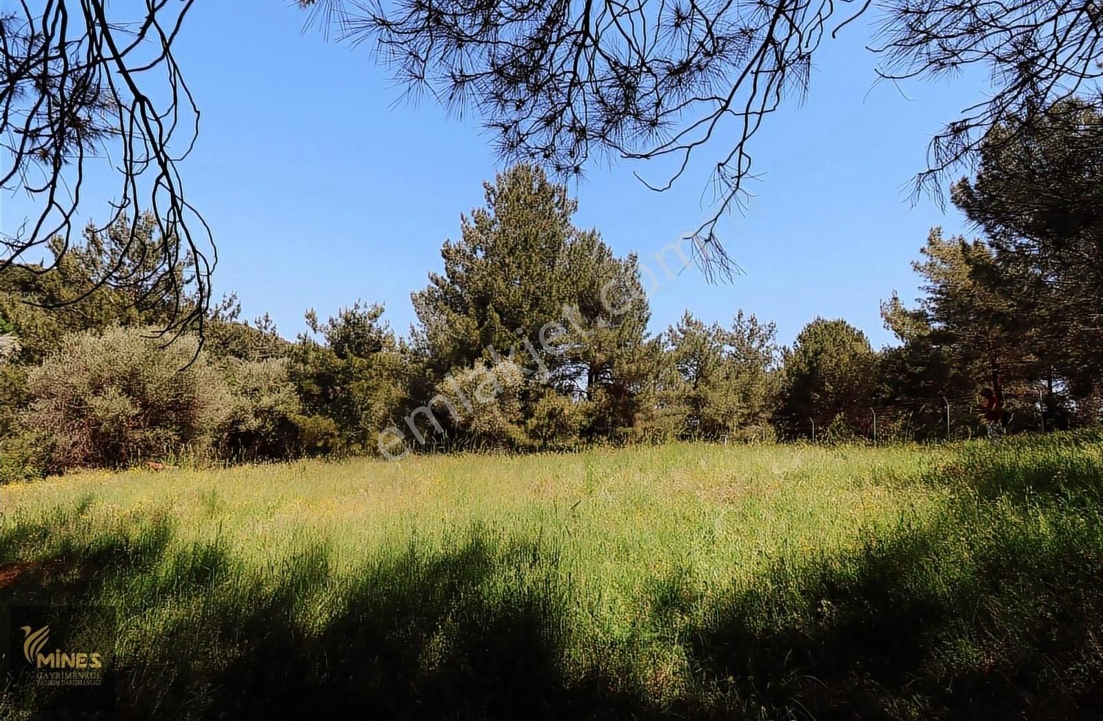 Yukarı Kızılca'da Merkeze Yakın 2.931 M² Satılık Arazi - Görsel 24