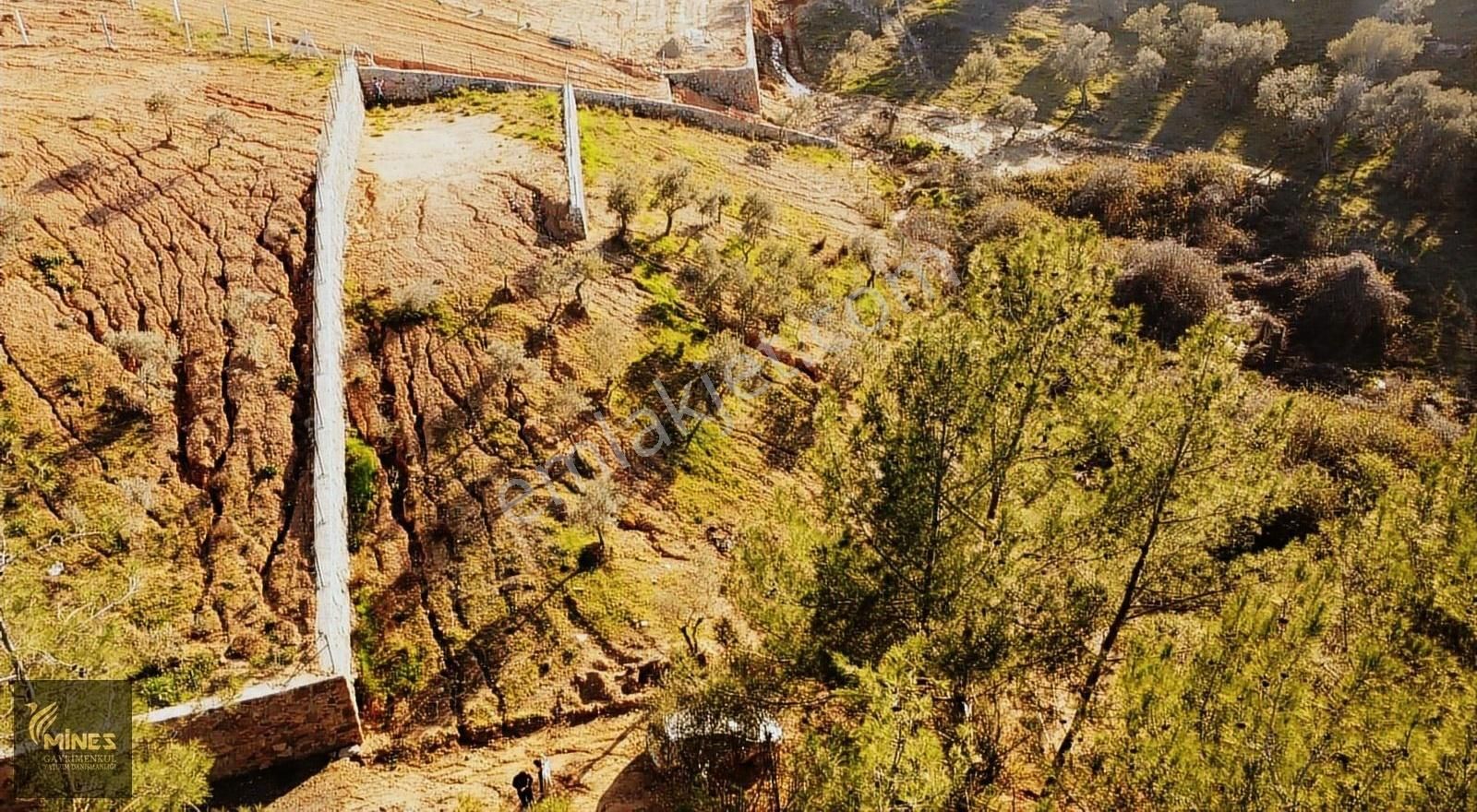 Kemalpaşa Cumalı'da 1.491 M² Satılık Araç Takaslı Bahçe