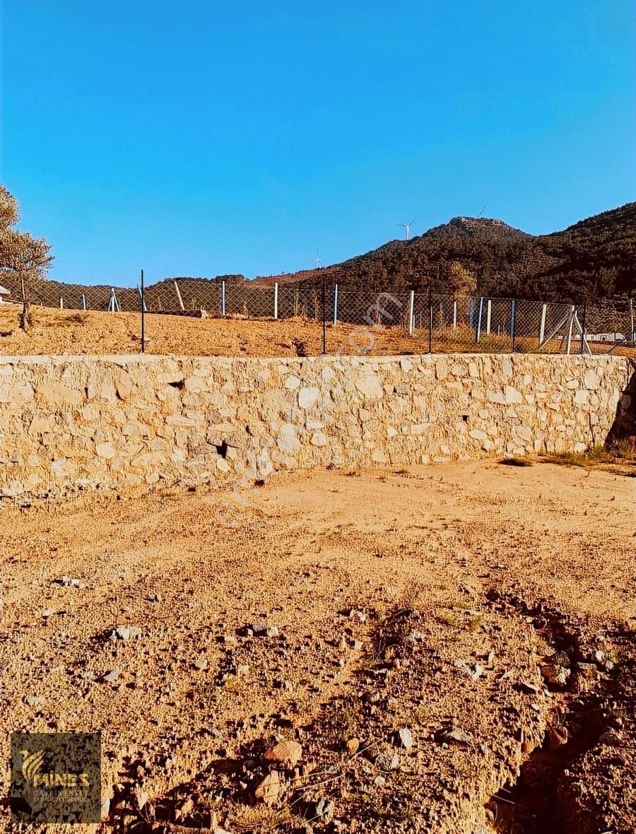 Kemalpaşa Cumalı'da 1.491 M² Satılık Araç Takaslı Bahçe - Görsel 14